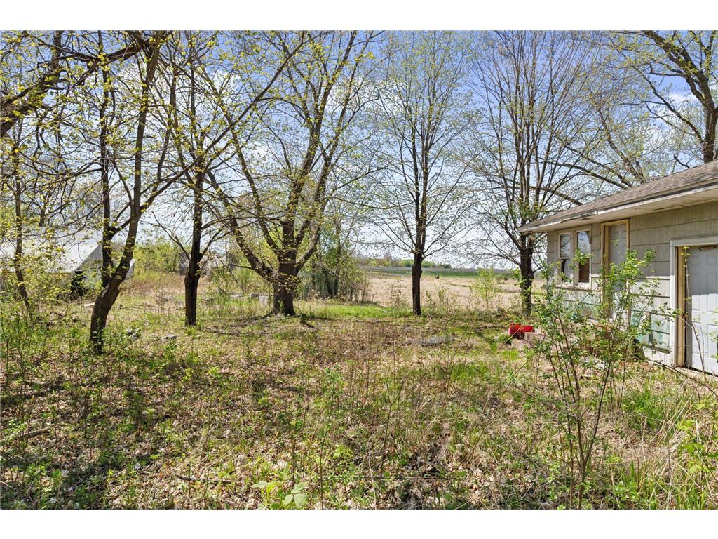 15535 375th Street Amador Twp MN 55084 7002131 image20