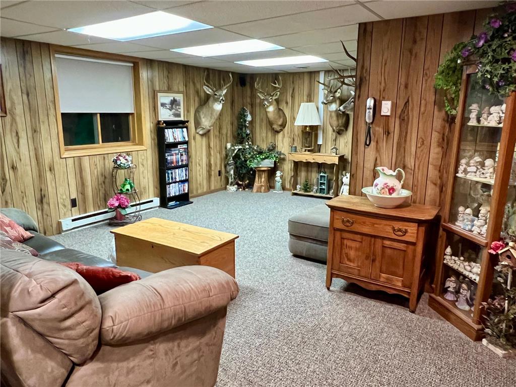 15536 129th Avenue Wadena Twp MN 56482 7044197 image29