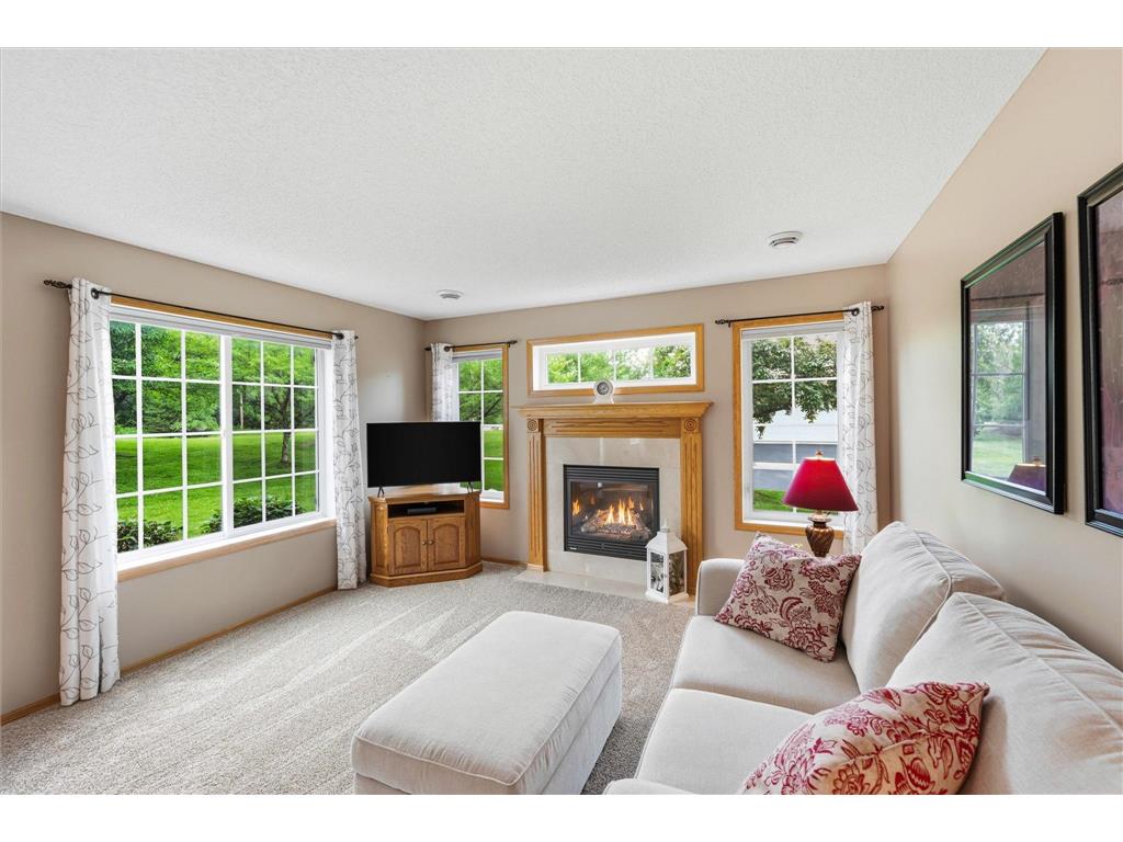 15537 Sodium Way Ramsey MN 55303 7097792 image3