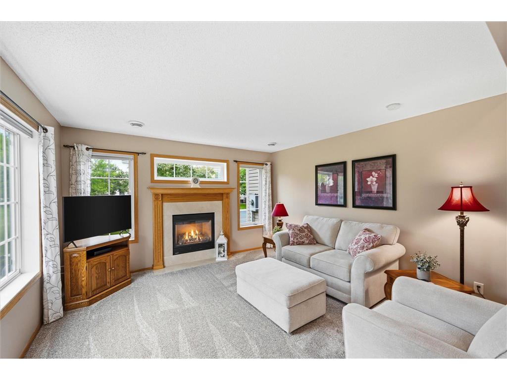 15537 Sodium Way Ramsey MN 55303 7097792 image4