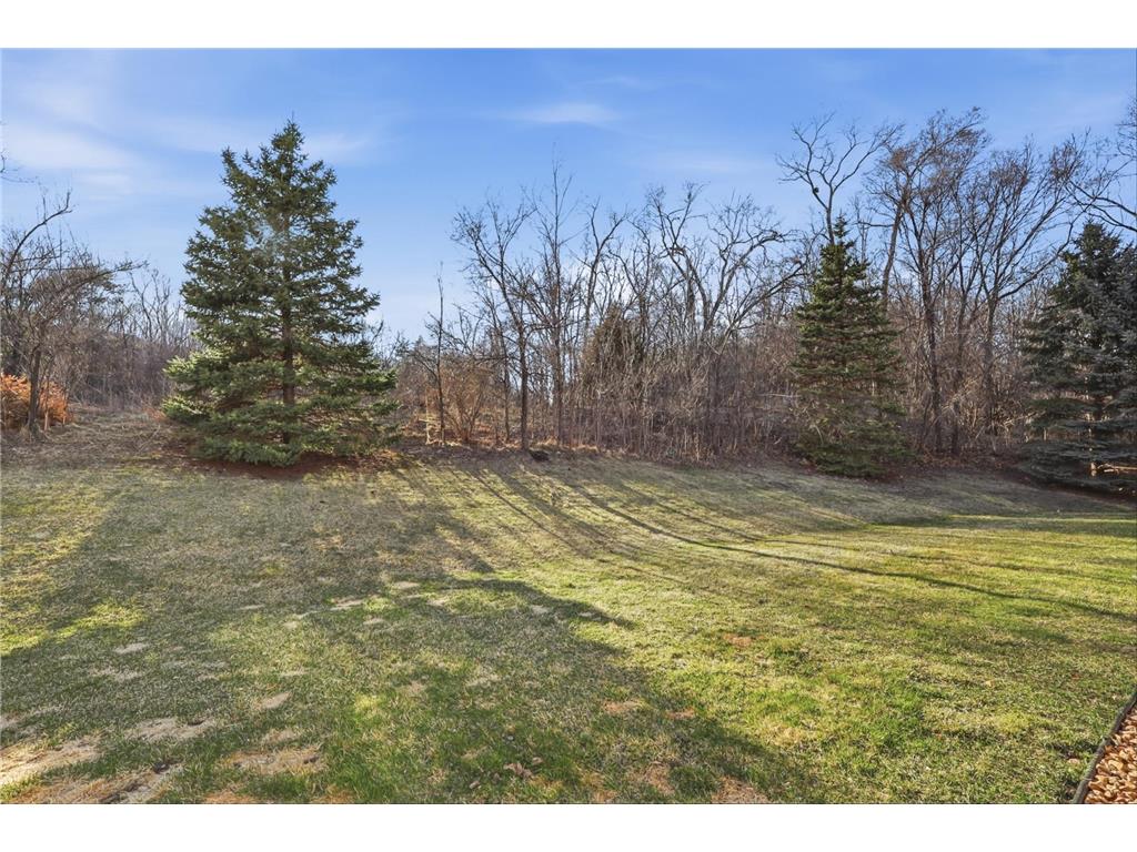 1554 Lincoln Park Drive South Saint Paul MN 55075 7047880 image31