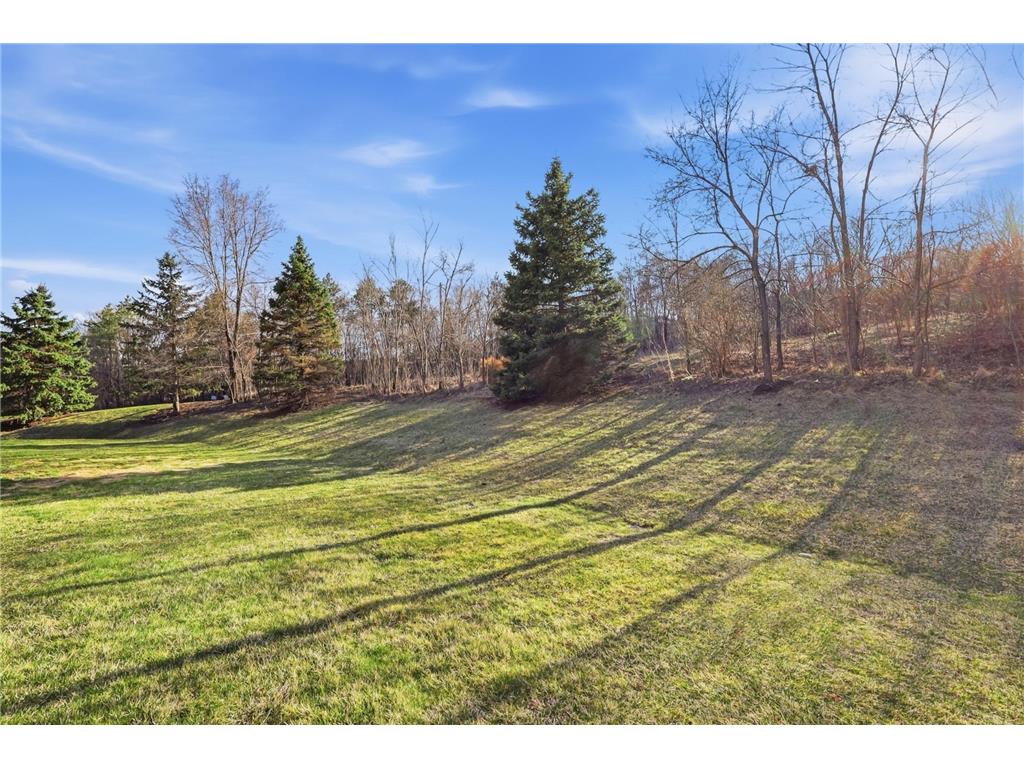 1554 Lincoln Park Drive South Saint Paul MN 55075 7047880 image32