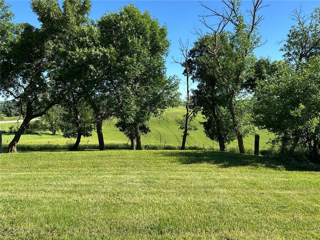 1555 US Highway 75 Lake Benton Twp MN 56149 7023103 image45