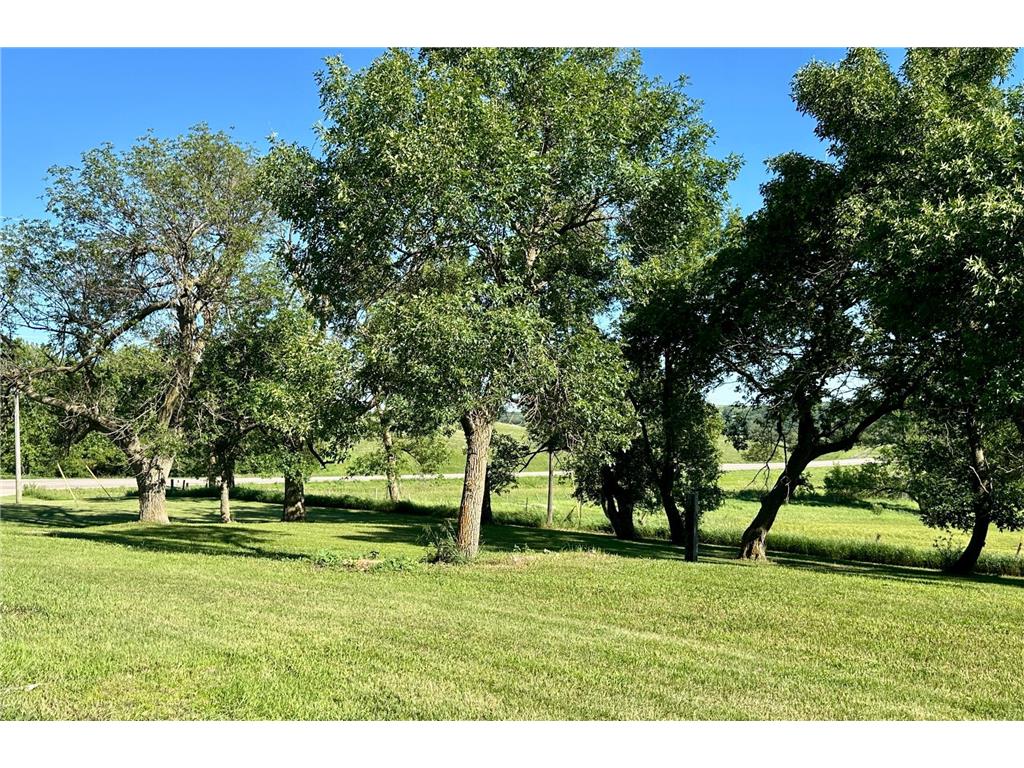 1555 US Highway 75 Lake Benton Twp MN 56149 7023103 image46
