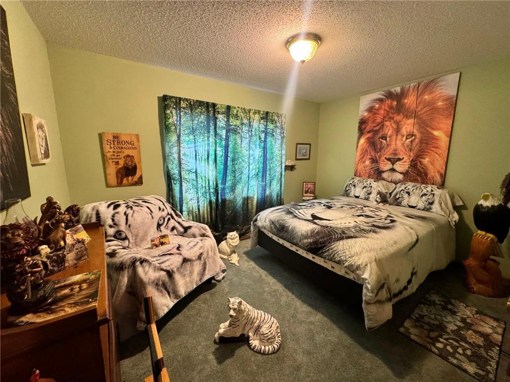 15554 Explorer Circle Park Rapids MN 56470 6773050 image16