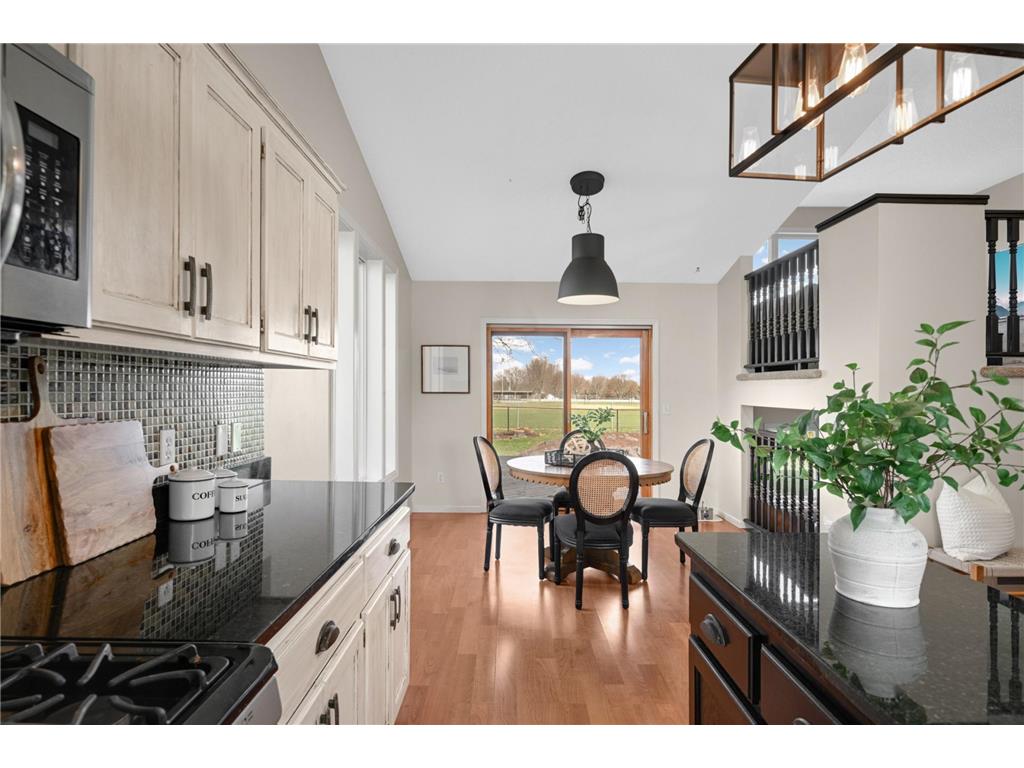 15556 Danbury Avenue W Rosemount MN 55068 7054647 image3