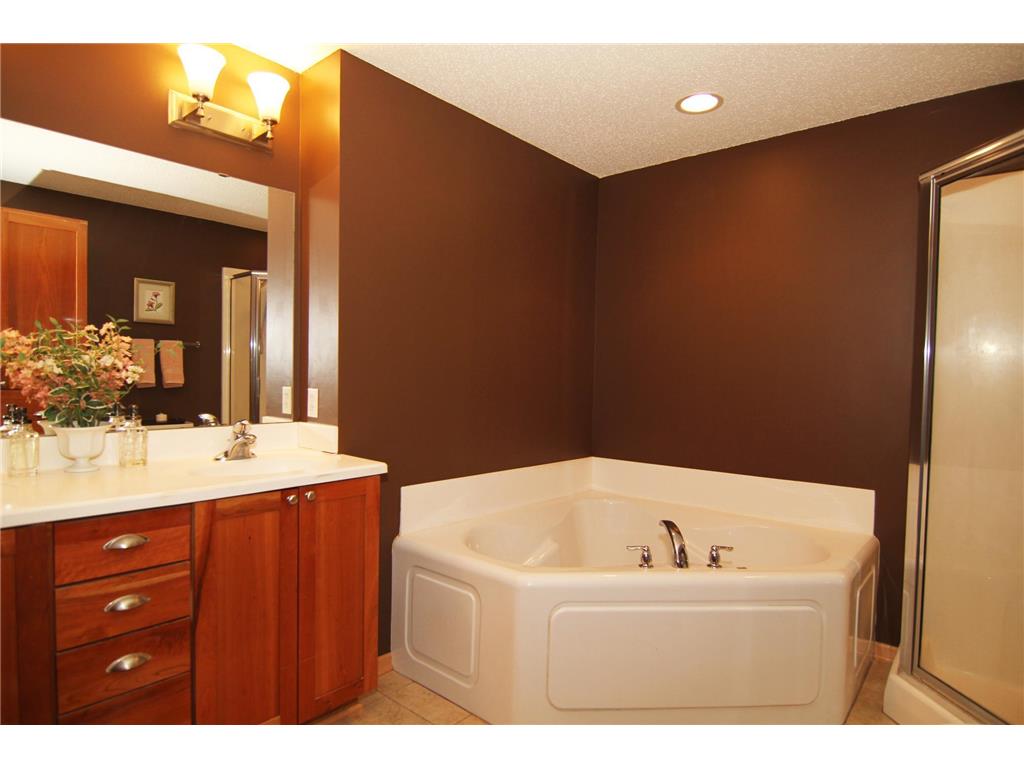 15561 Dunraven Drive Apple Valley MN 55124 - Cobblestone 7050256 image16