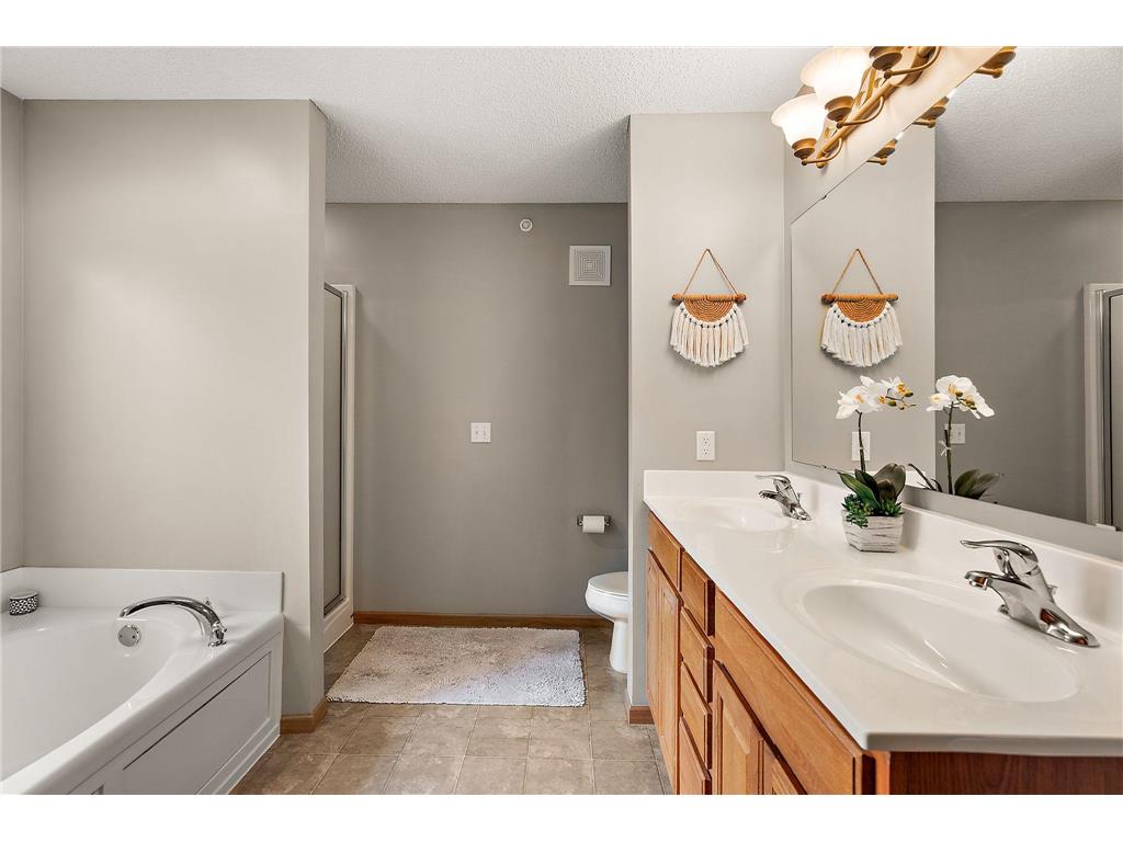 15569 Lilac Drive Eden Prairie MN 55347 7060682 image28