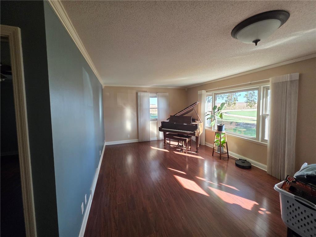 1557 100th Avenue Lowville Twp MN 56151 6808527 image4