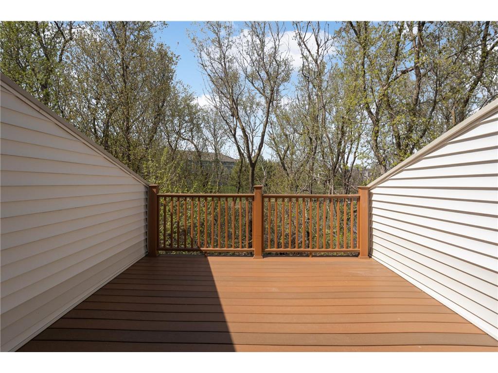 15579 Cherry Path Rosemount MN 55068 7059193 image24