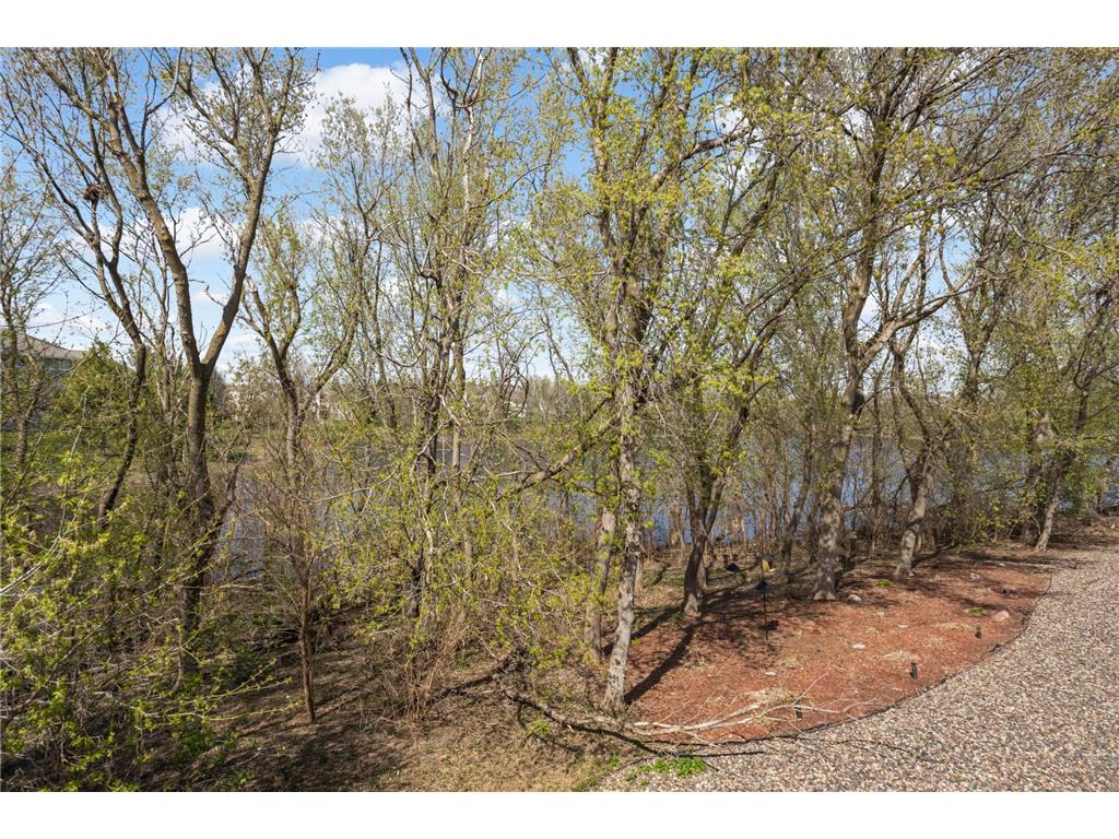 15579 Cherry Path Rosemount MN 55068 7059193 image25