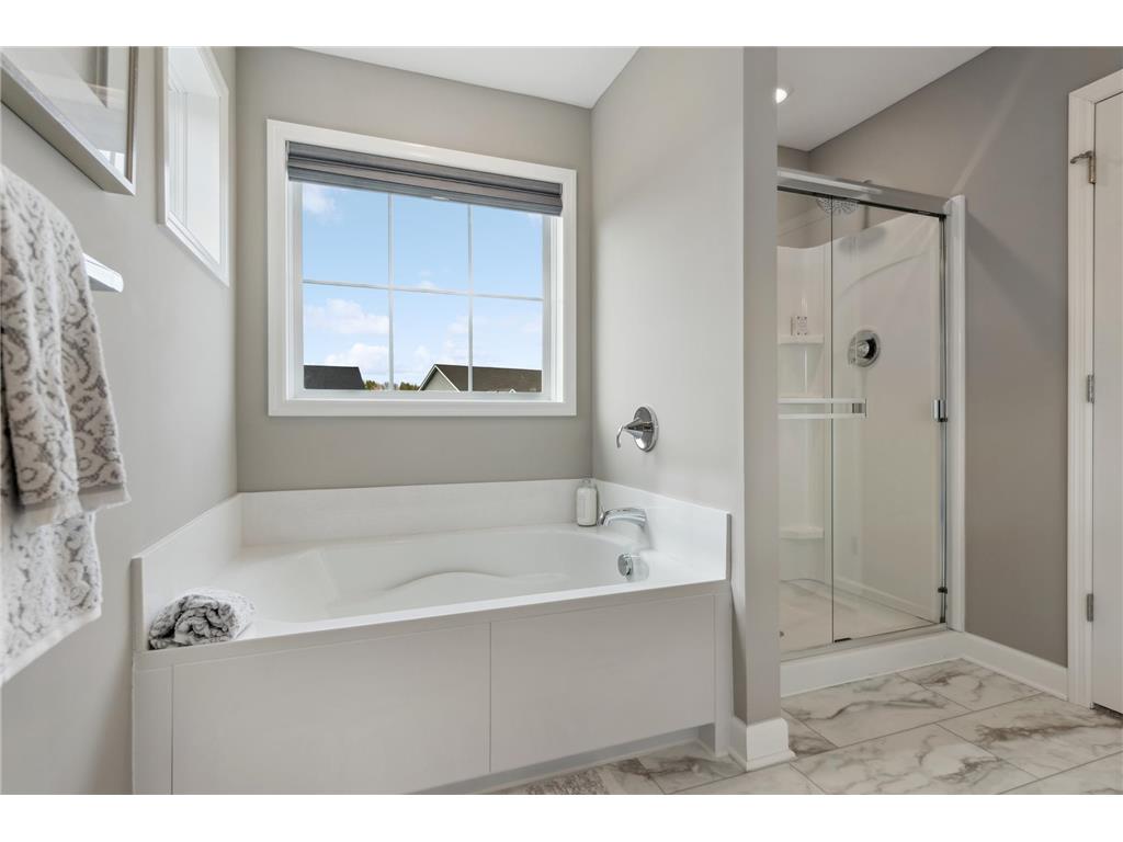 1558 Upper 141st Street E Rosemount MN 55068 7019927 image11