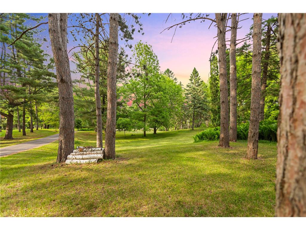 15581 Afton Boulevard S Afton MN 55001 7039936 image59