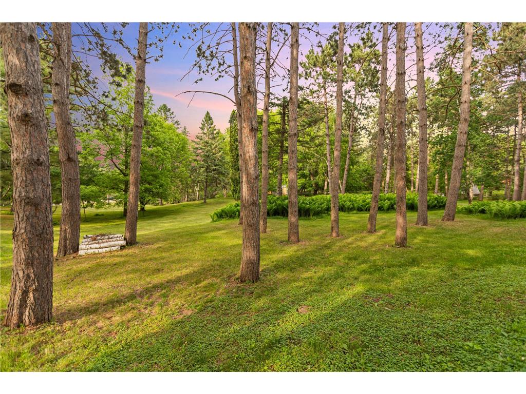 15581 Afton Boulevard S Afton MN 55001 7039936 image61