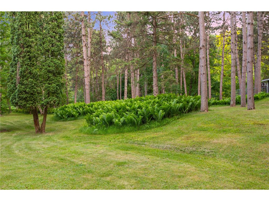 15581 Afton Boulevard S Afton MN 55001 7039936 image62