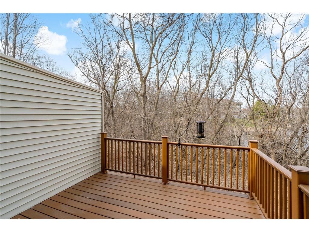 15585 Cherry Path Rosemount MN 55068 7037452 image13