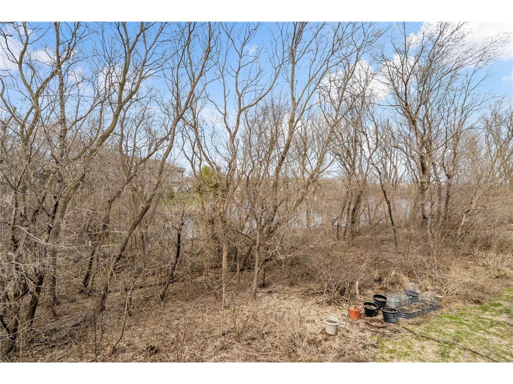 15585 Cherry Path Rosemount MN 55068 7037452 image42