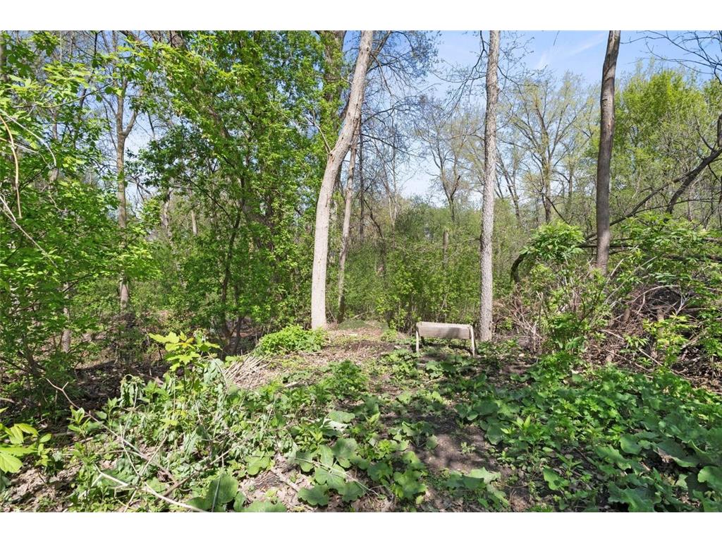 1559 Mccarthy Road Eagan MN 55121 7063469 image27