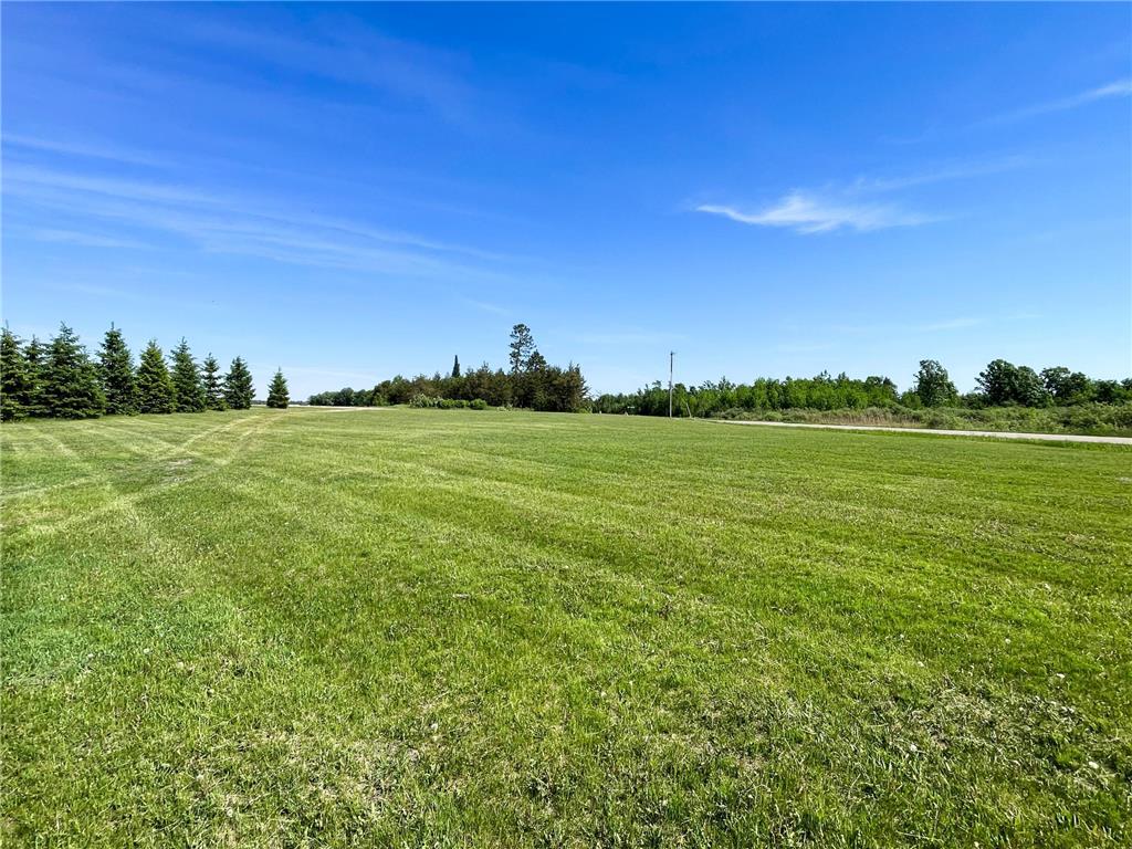 1559 Stone Lake Road SW Grant Valley Twp MN 56601 7089080 image60