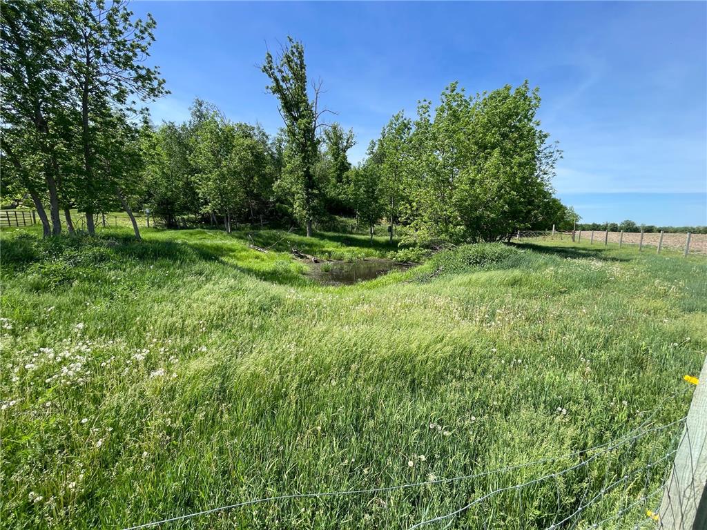 1559 Stone Lake Road SW Grant Valley Twp MN 56601 7089080 image61
