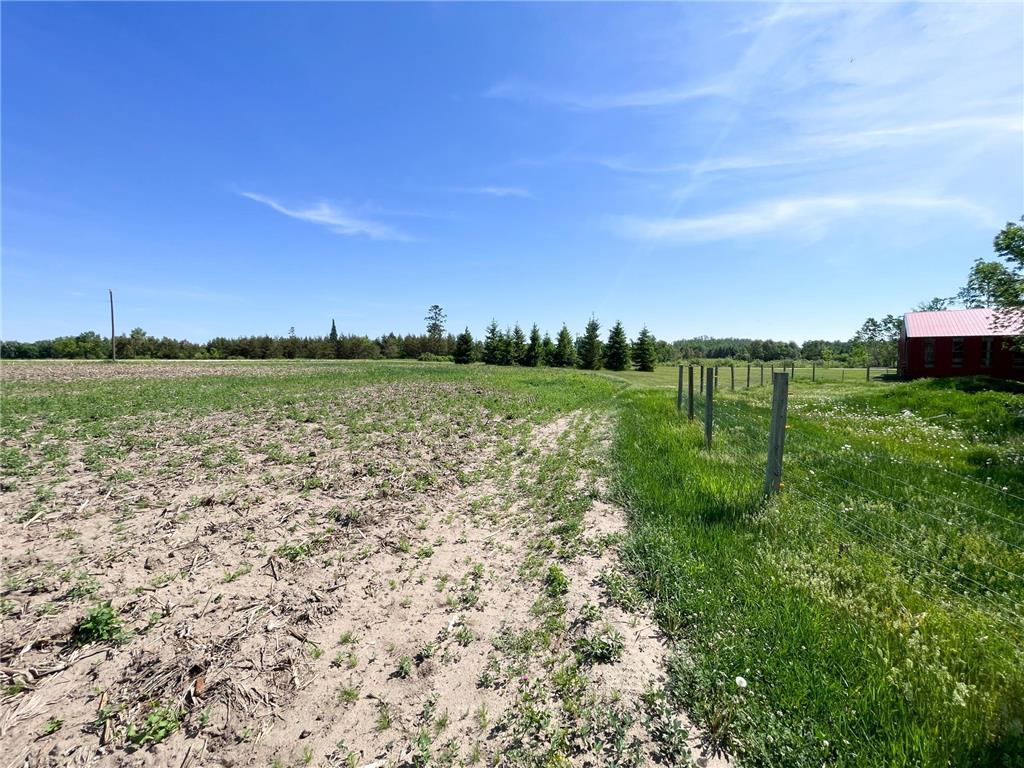 1559 Stone Lake Road SW Grant Valley Twp MN 56601 7089080 image62