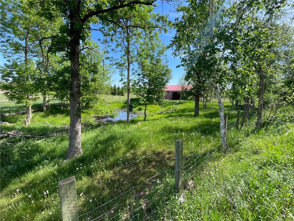 1559 Stone Lake Road SW Grant Valley Twp MN 56601 7089080 image64