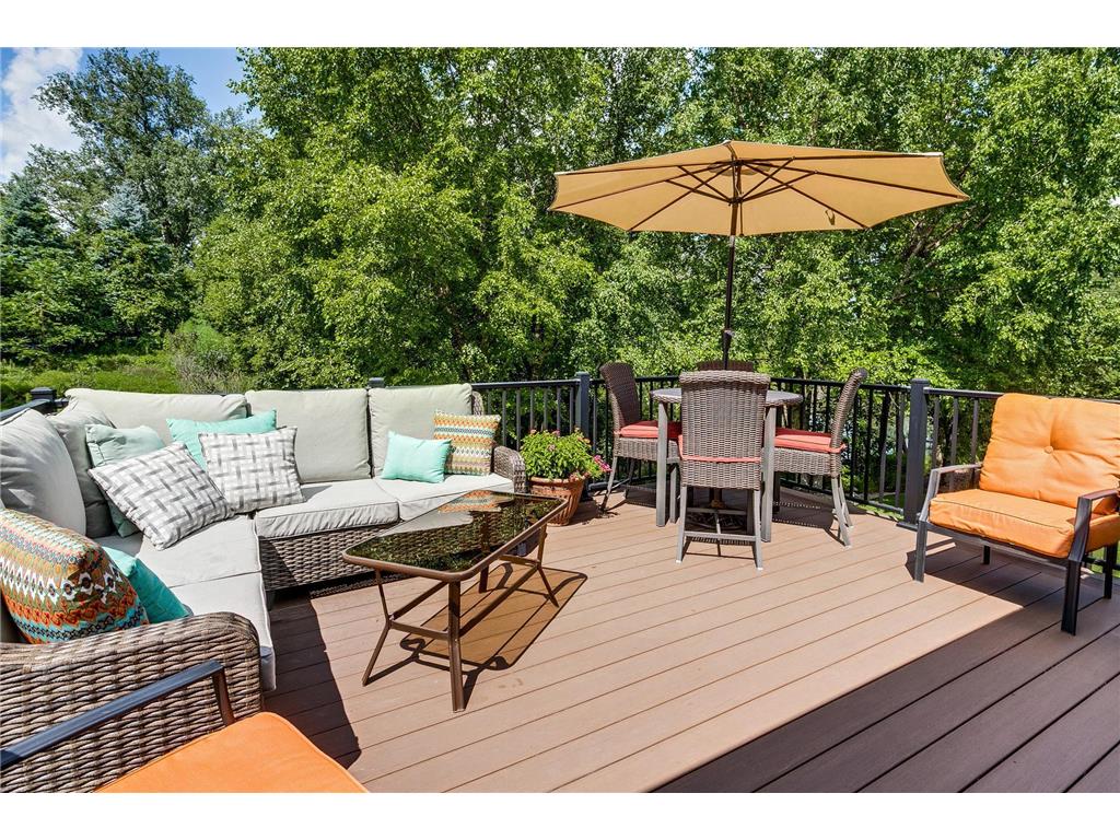 1559 Stoneybrook Drive Lino Lakes MN 55038 6825055 image14