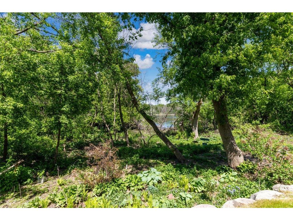 15595 Cherry Path Rosemount MN 55068 7084398 image10