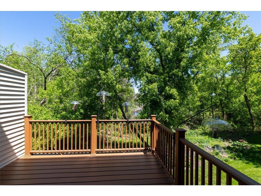 15595 Cherry Path Rosemount MN 55068 7084398 image14