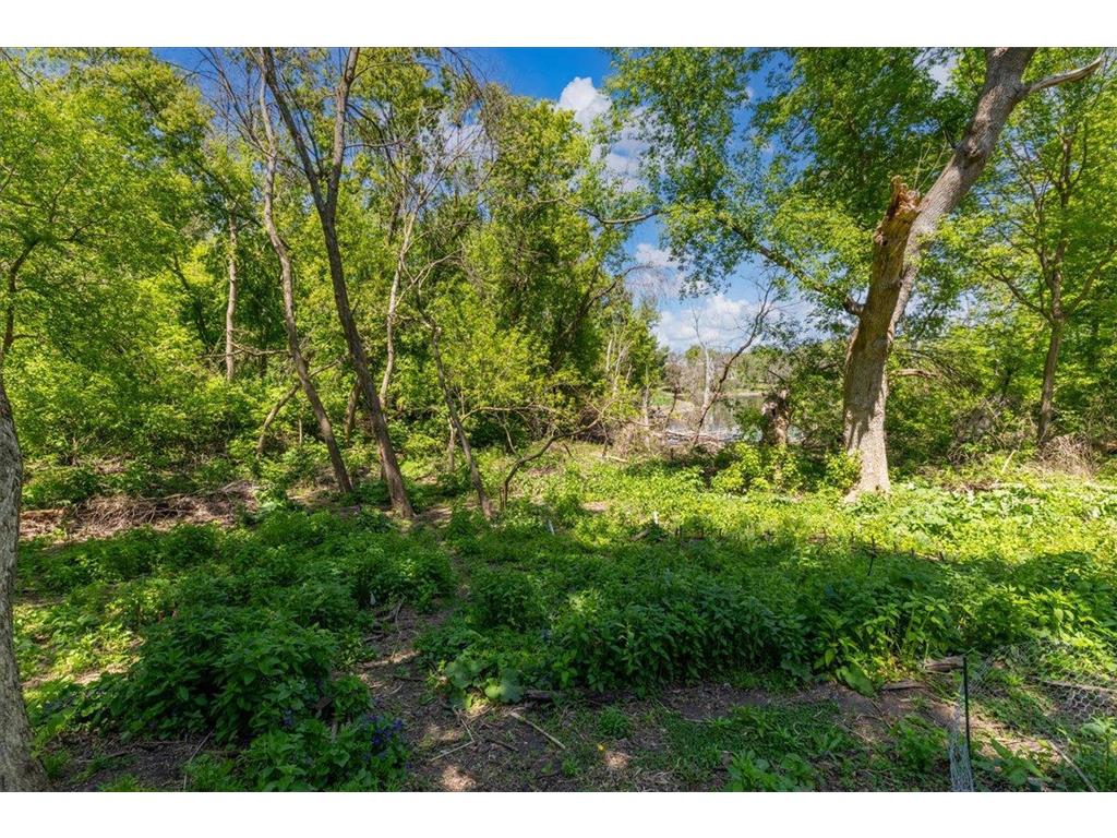 15595 Cherry Path Rosemount MN 55068 7084398 image16