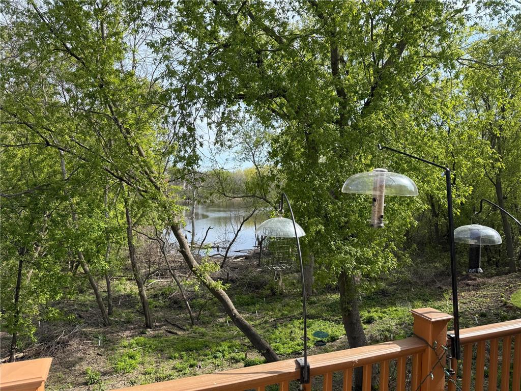 15595 Cherry Path Rosemount MN 55068 7084398 image58