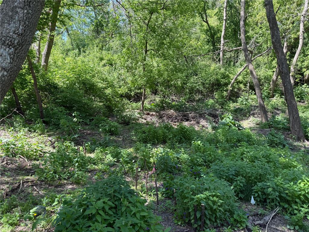 15595 Cherry Path Rosemount MN 55068 7084398 image65