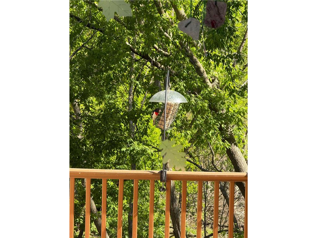 15595 Cherry Path Rosemount MN 55068 7084398 image69