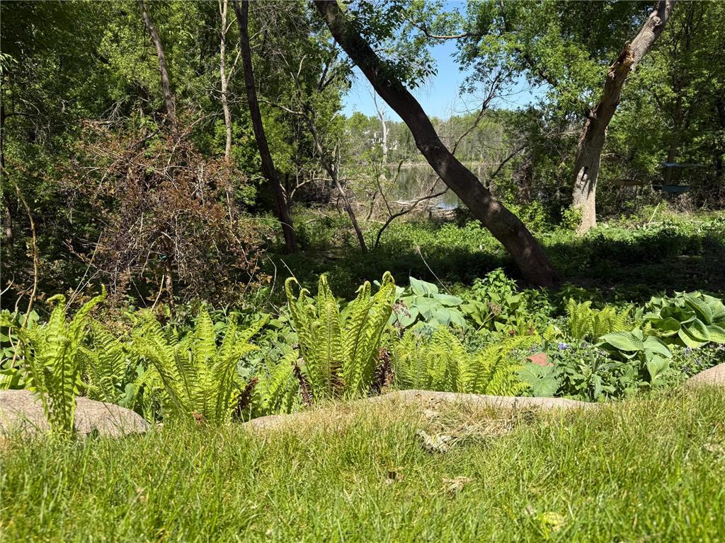 15595 Cherry Path Rosemount MN 55068 7084398 image71