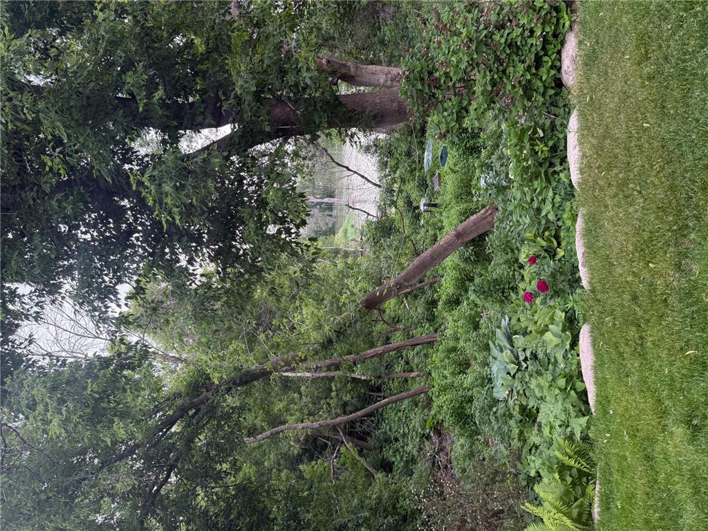 15595 Cherry Path Rosemount MN 55068 7084398 image81