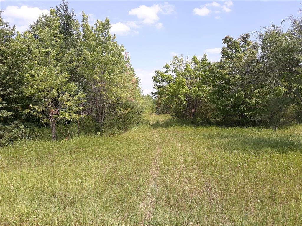 155xxxx Halsey Avenue Carver MN 55315 6410321 image1