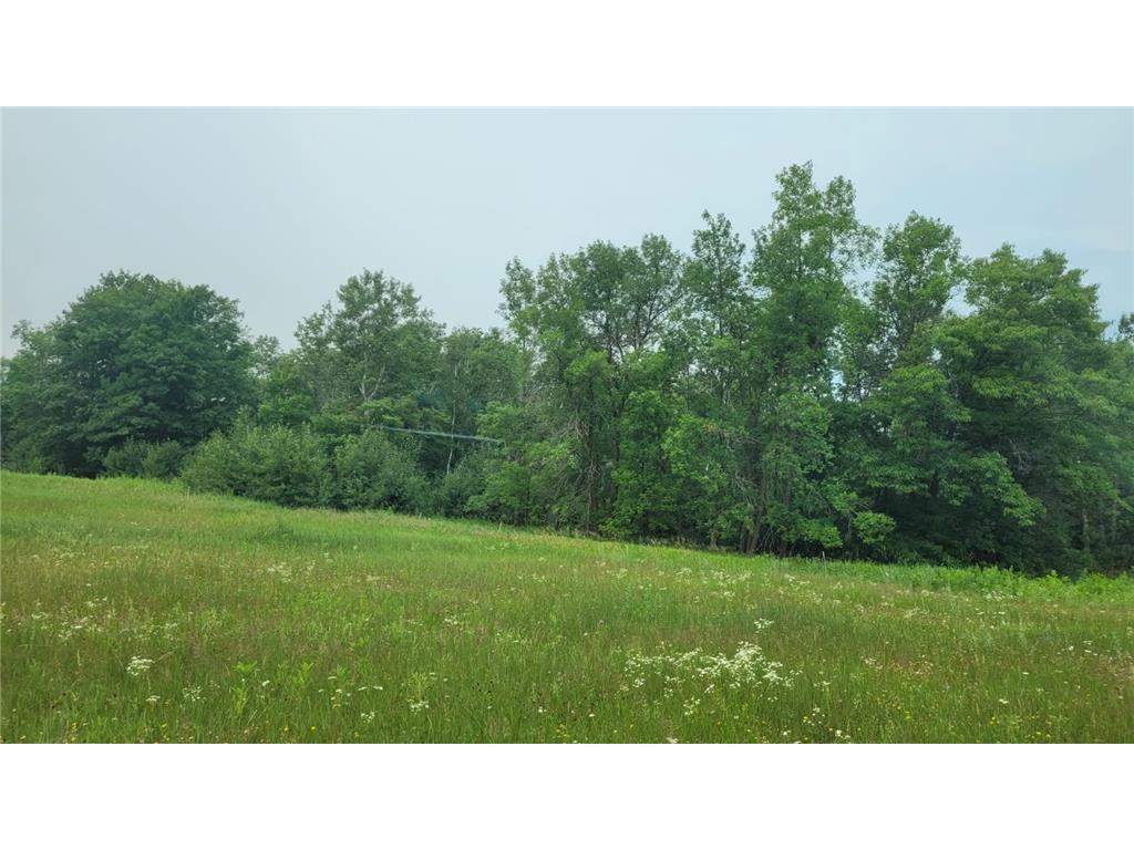 1560 8th Street NE Blind Lake Twp MN 56474 7111033 image2