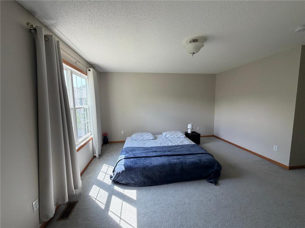 15608 Prospect Road Eden Prairie MN 55347 7083952 image10