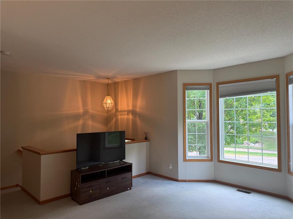 15608 Prospect Road Eden Prairie MN 55347 7083952 image31