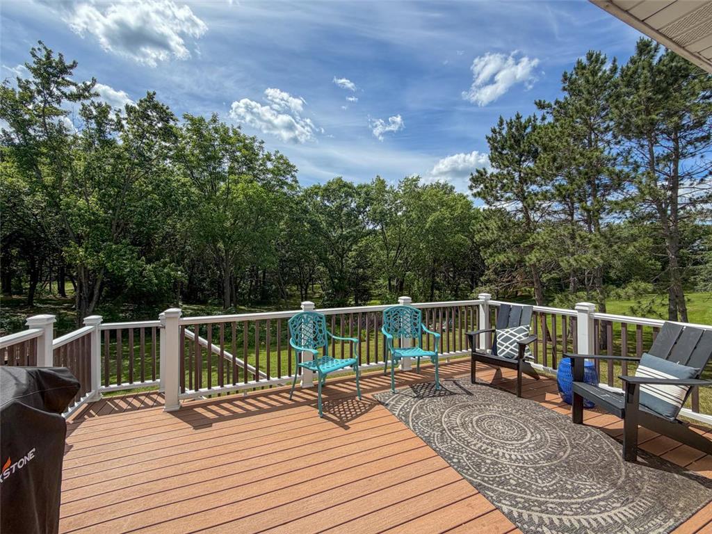 15620 Dolomite Street NW Ramsey MN 55303 7094546 image49