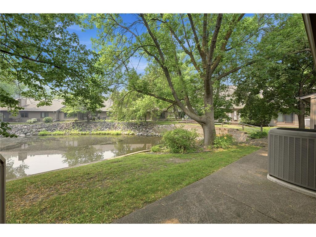 15635 41st Avenue N Plymouth MN 55446 7107434 image44