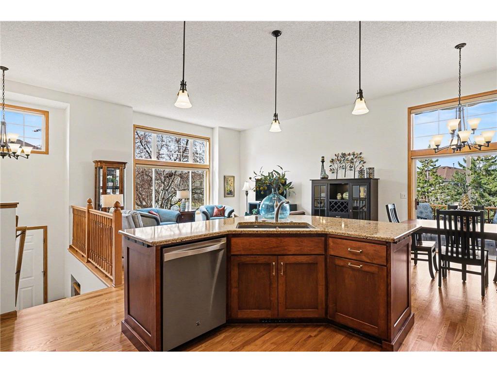 15636 Chasewood Court Rosemount MN 55068 7081896 image6