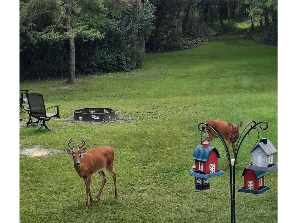 15636 US Highway 59 NE Rocksbury Twp MN 56701 6787131 image72