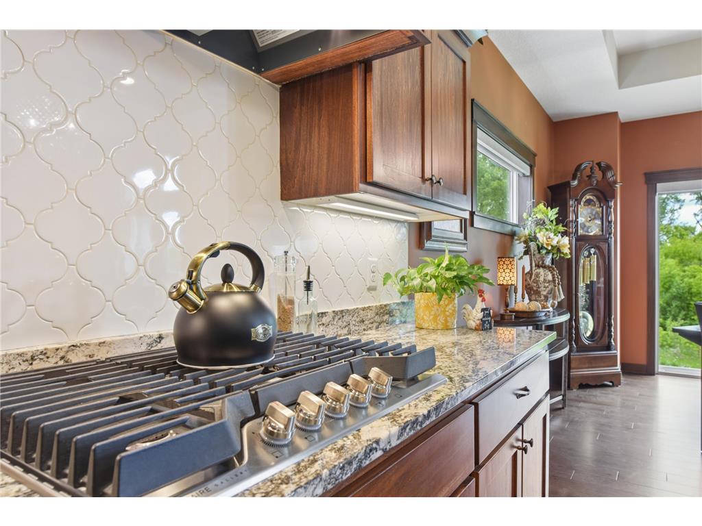 1566 Spruce Street Farmington MN 55024 7051728 image11