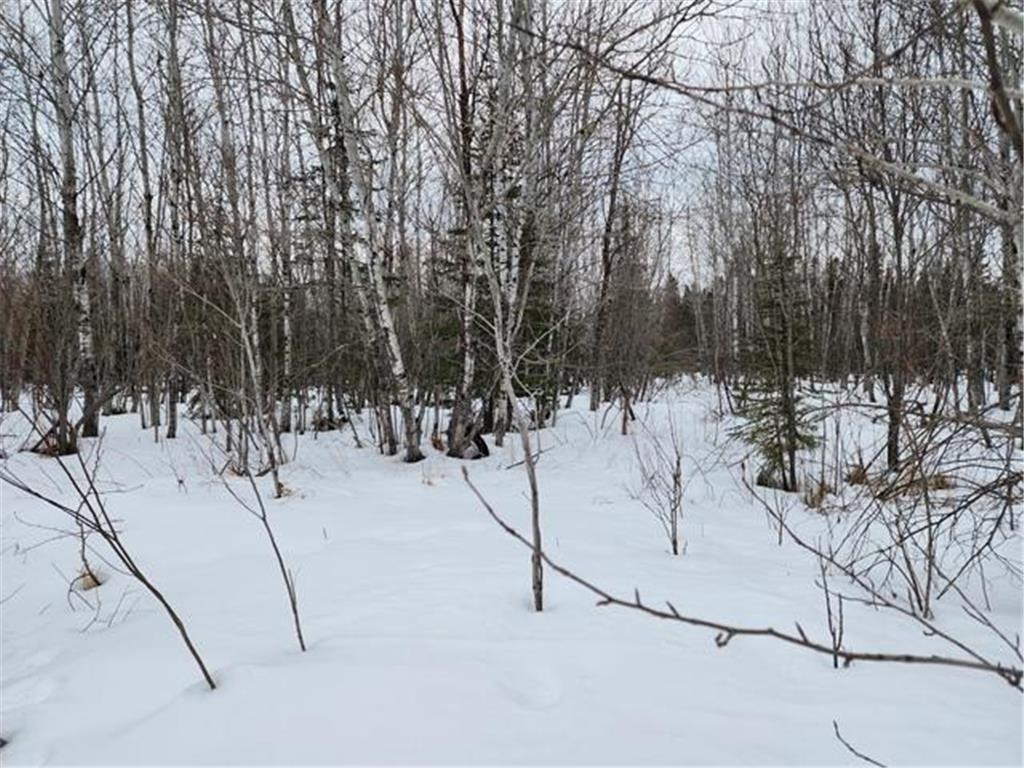 15670 County Road 539 Nashwauk MN 55769 6332497 image1