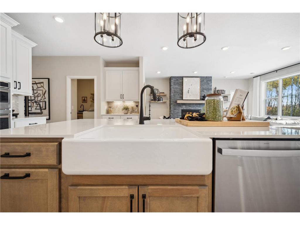 15680 Goodview Avenue N Hugo MN 55038 6519938 image61