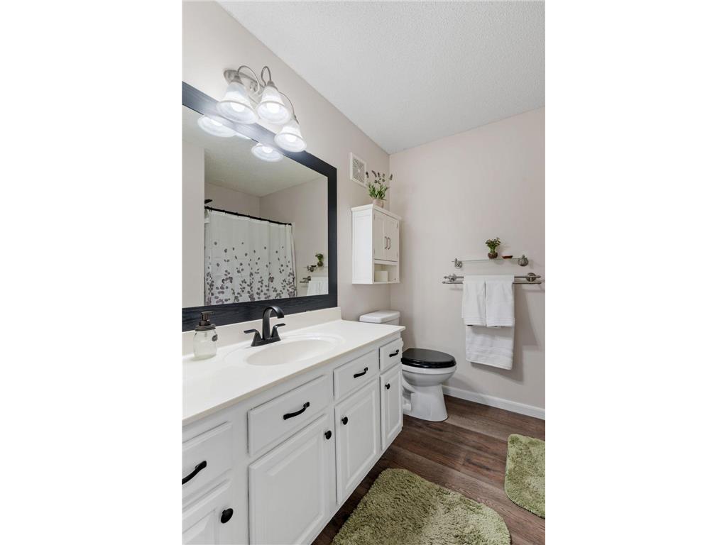 15685 Chestnut Way Rosemount MN 55068 7059668 image20