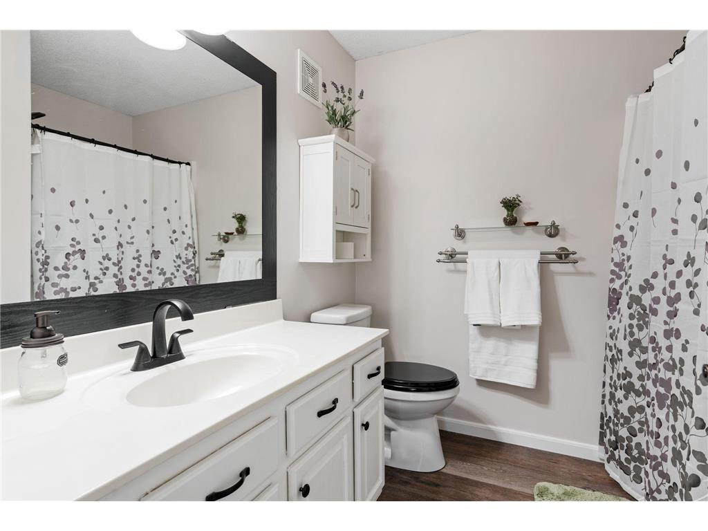 15685 Chestnut Way Rosemount MN 55068 7059668 image21