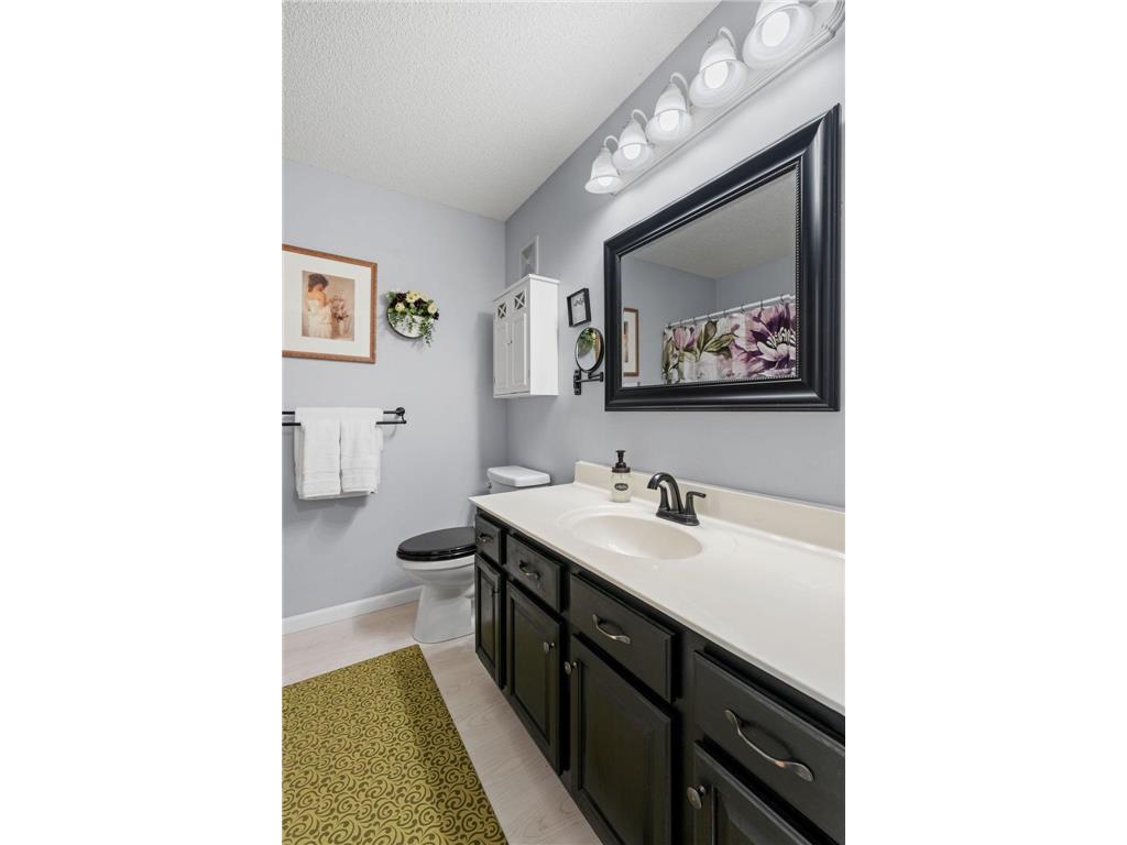 15685 Chestnut Way Rosemount MN 55068 7059668 image28