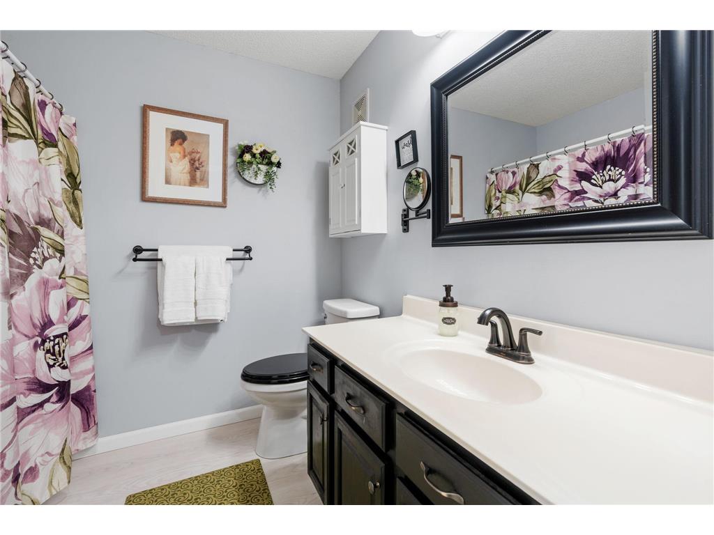 15685 Chestnut Way Rosemount MN 55068 7059668 image29